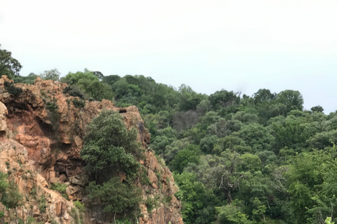 Klipriviersberg Nature Reserve 10km Hike