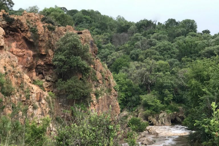 Klipriviersberg Nature Reserve 10km Hike