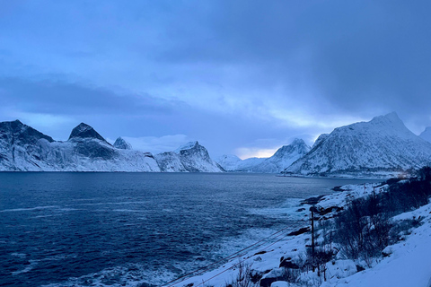 From Tromsø: Discover Senja Island with Local Guide From Tromsø: Privately Discover Senja with Local Guide