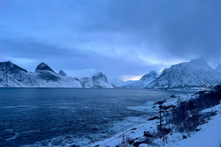 From Tromsø: Discover Senja Island with Local Guide From Tromsø: Privately Discover Senja with Local Guide