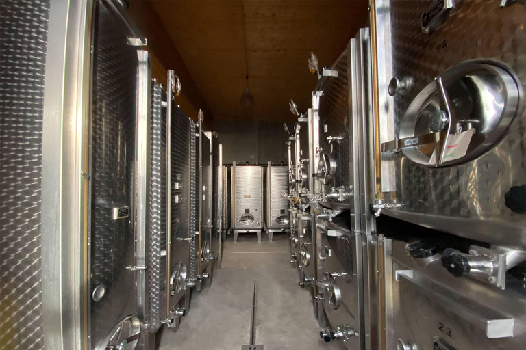 Dare to Alsace Wine with a Feminine Touch