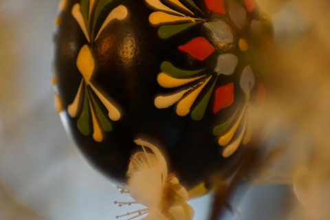 Dresden: Private cooking class with matching drinks included Dresden: Private cooking class with matching drinks