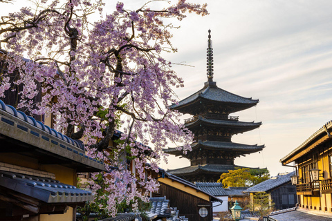Kyoto: Private Luxury Tour With Vehicle (Customizable)