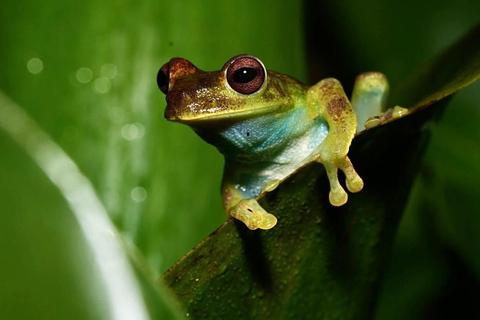 Quito: Mindo Cloud Forest 2-Day Tour with Meals & Hotel