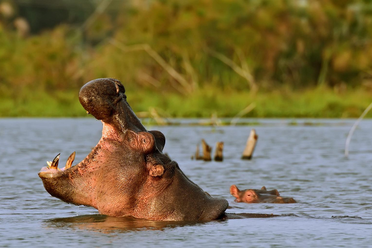 Excursión de un día a Hellsgate y el lago Naivasha desde Nairobi