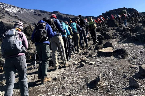 Kilimanjaro: 6-Day Rongai Route Trek with Accommodation