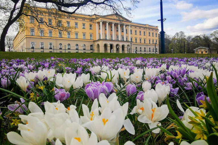 Oslo: Guided Walking Tour with Opera House & Library Oslo: Guided Walking Tour with Opera House & Library
