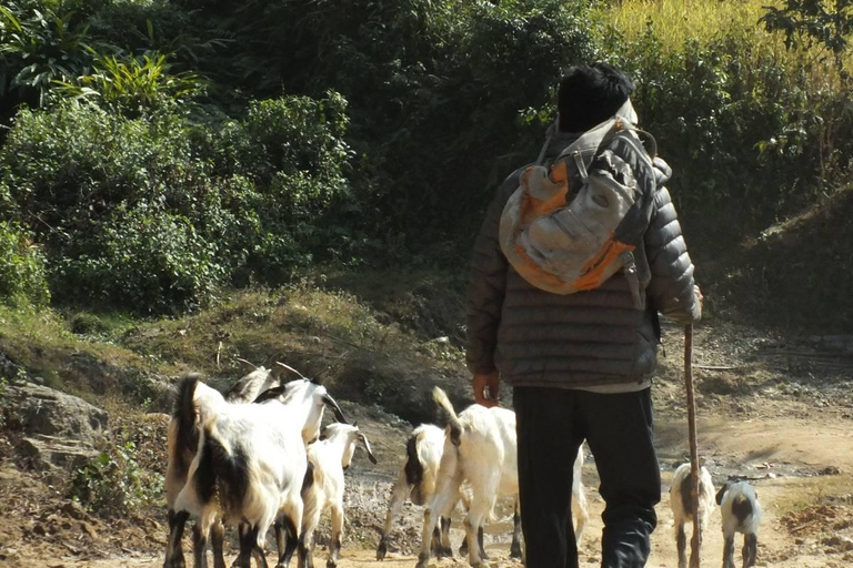 Nationaal park Shivapuri: Vredig en stil wandelenKathmandu-Nuwakot: Rustig en stil wandelen