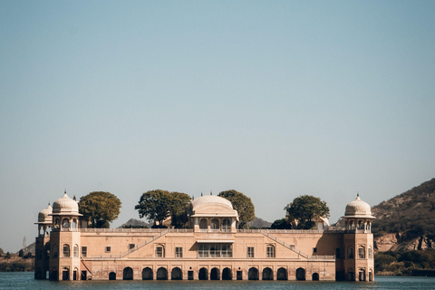 Jaipur: Private Evening Tour & Monkey Temple Sunset by Car Jaipur: Evening Tour & Monkey Temple Sunset by Tuk Tuk