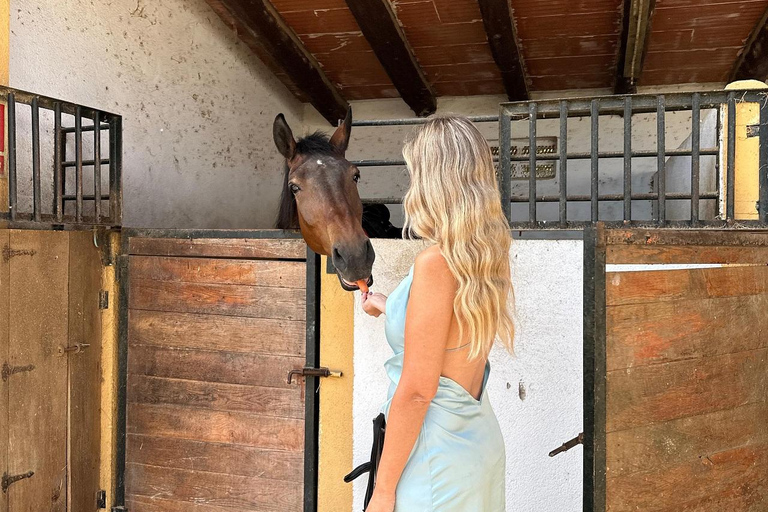 Oman-Salalah: Sunset Beach Horseback Ride with Hotel Pickup