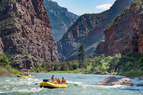 Montreal Rapids: Avventure di rafting all-inclusive