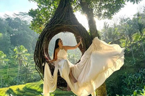 巴厘岛：隐秘的乌布寺庙、梯田和丛林秋千