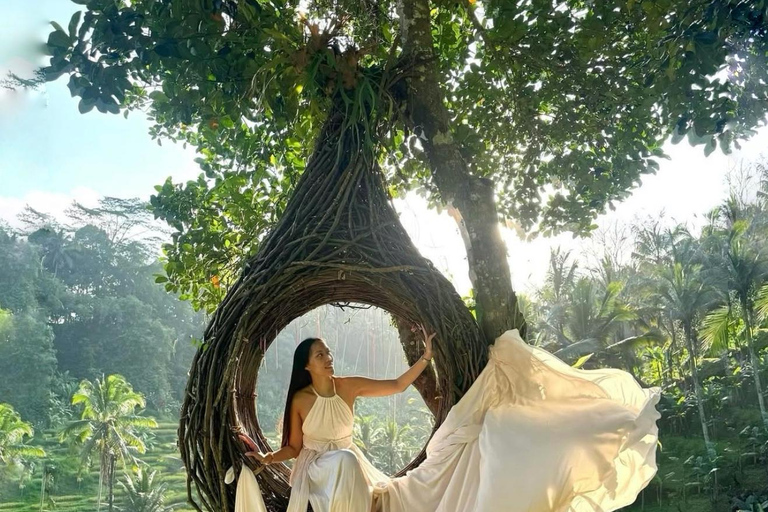 巴厘岛：隐秘的乌布寺庙、梯田和丛林秋千