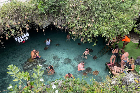 Zanzibar: Jozani Forest & Salaam cave Jozan forest & Salaam Cave