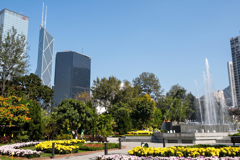 Hong Kong: Victoria Peak Guided Walking Tour Private Tour