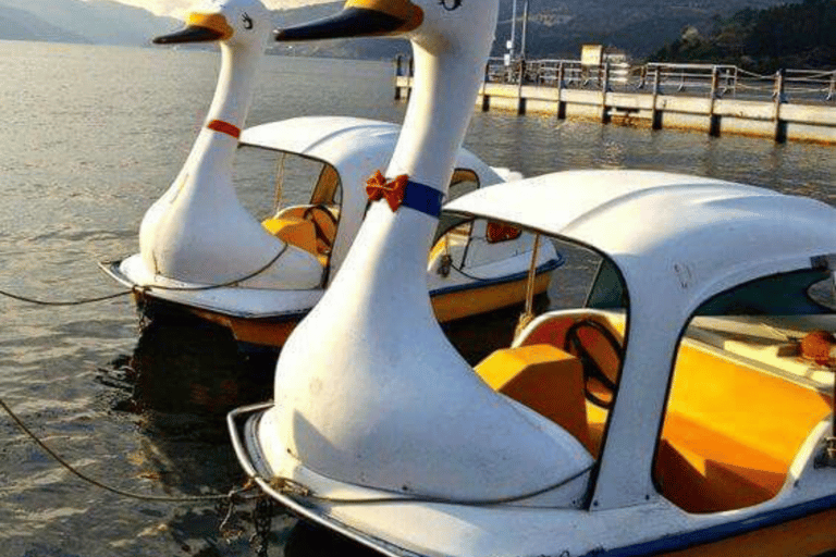 From Tokyo: Mount Fuji Full Day Customizable Private Tour