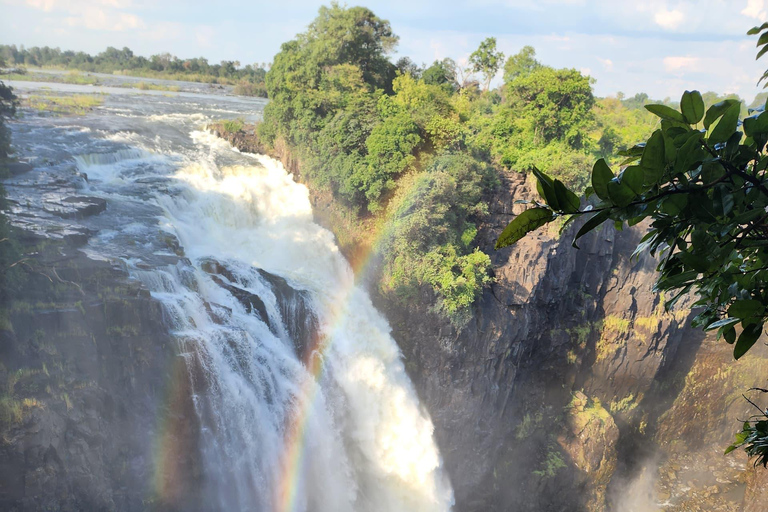 Victoria Falls Zimbabwe: Mosi-oa-Tunya Walk with Local Guide