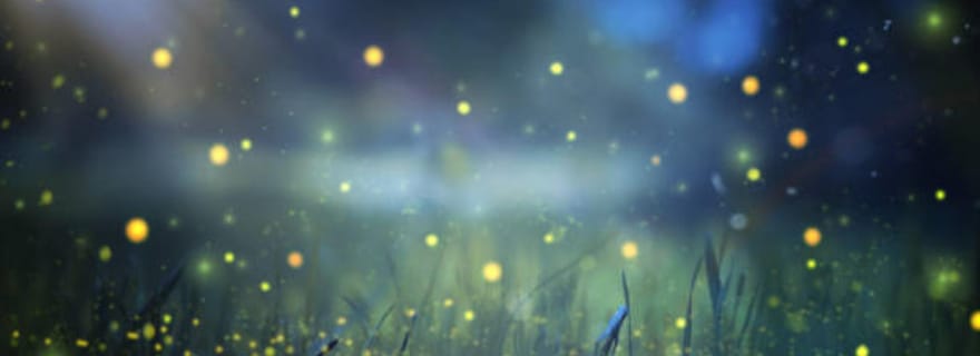 Bali : rituel culturel, cuisine locale et aventure avec les lucioles