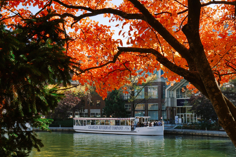 Boston: Charles River Fall Foliage Sightseeing Cruise