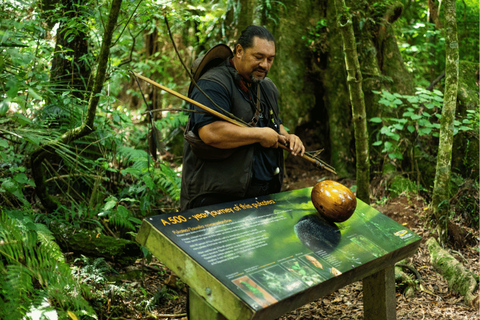 Northern Kiwi Tour (12 days)