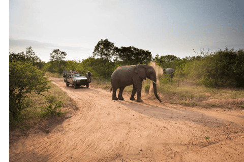 4 Day Kapama Safari from Johannesburg