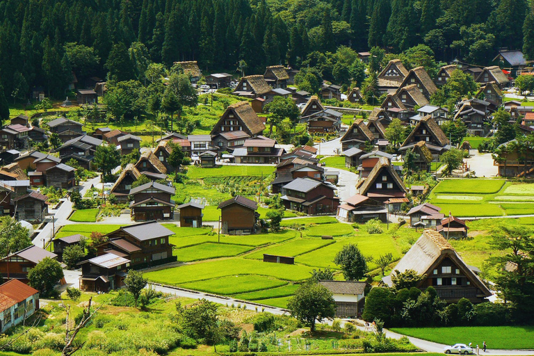 Nagoya: Shirakawa-go & Hida Takayama Old Streets Day Tour