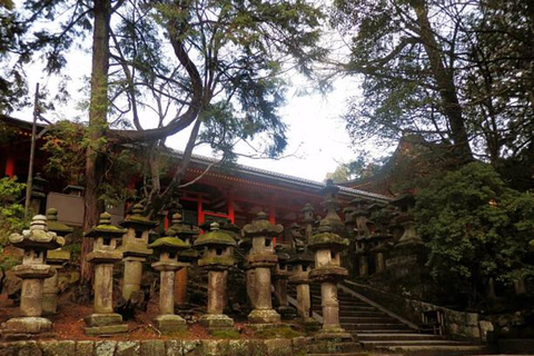 From Tokyo: Nikko World Heritage Sight Full Day Private Tour