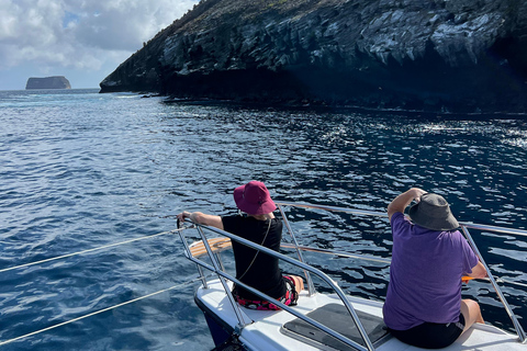 Bartolomé Island: Premium Yacht Experience with Hike and Snorkel