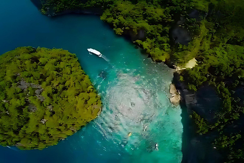 Phuket: Phi Phi, Maya, Khai ou Maiton ou Bamboo Island TourPasseio pelas ilhas Phi Phi, Maya e Khai em lancha rápida