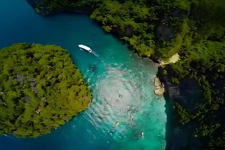 Phuket: Phi Phi, Maya, Khai o Maiton o Excursión a la Isla de BambúExcursión a las islas Phi Phi, Maya y Khai en lancha rápida