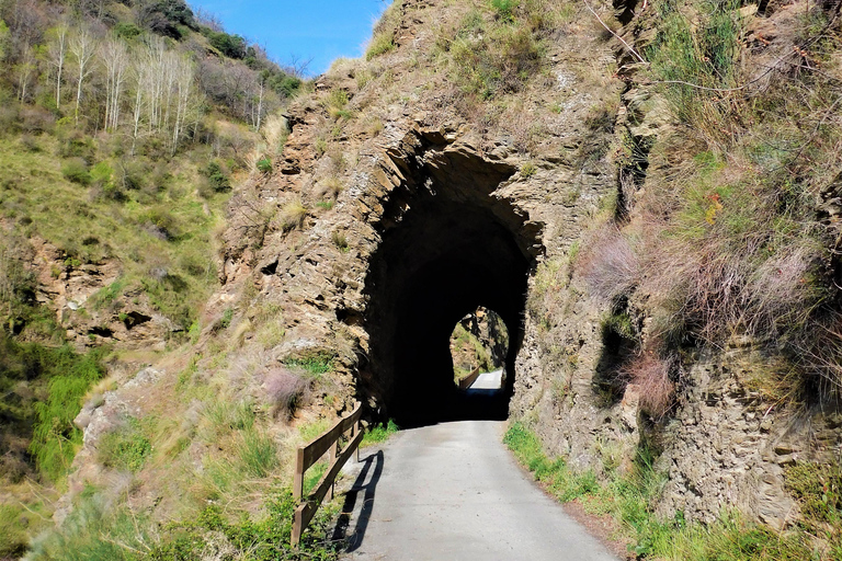 Granada: Sierra Nevada Tour