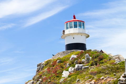 Full Day Cape Peninsula Tour
