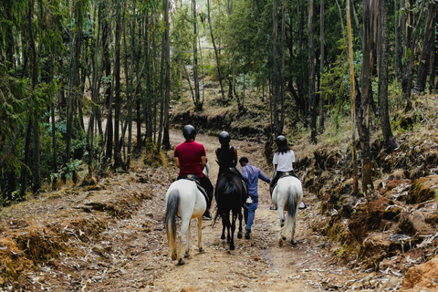 Addis Abeba: 2-daagse yoga-, spa- en gamedrive-tour