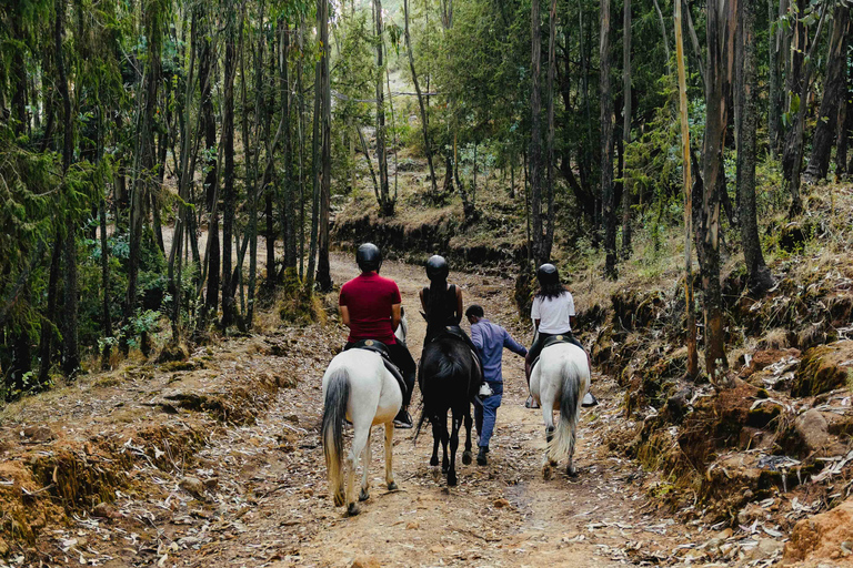 Addis Abeba: 2-daagse yoga-, spa- en gamedrive-tour