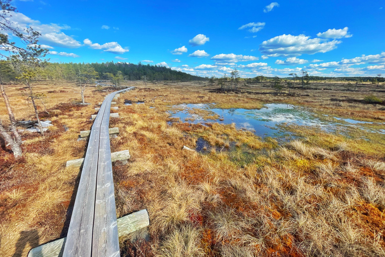 Helsinki: Full-Day Hike in Torronsuo’s Wild Bog