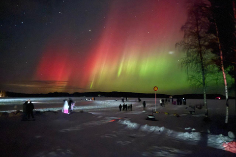 Rovaniemi: Northern Lights Hunt with Campfire & Snacks