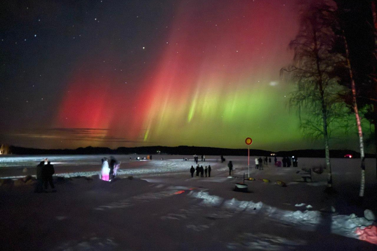 Rovaniemi: Northern Lights Hunt with Campfire & Snacks