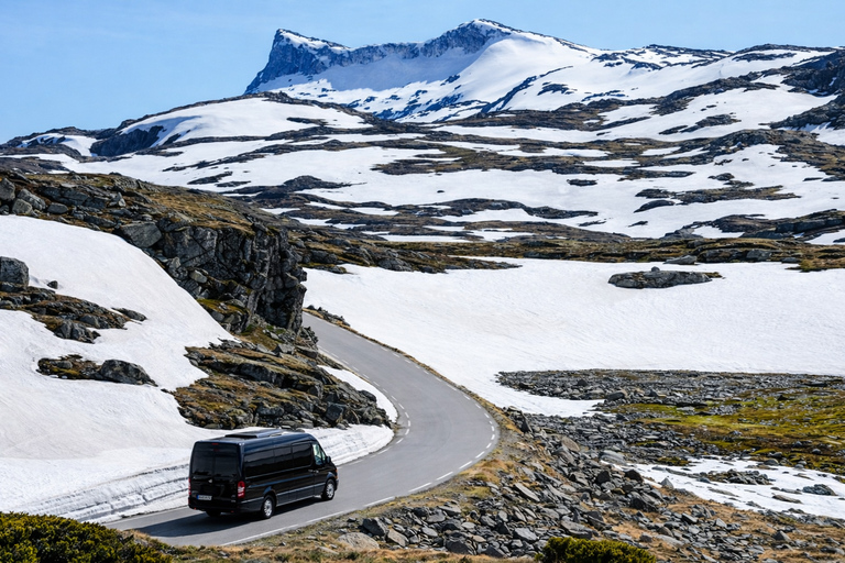Bergen: Sognefjord & Hardangerfjord Tour