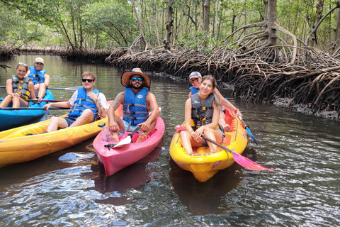 Miami: Biscayne Bay Ultimate Boat Tour with Kayak Experience