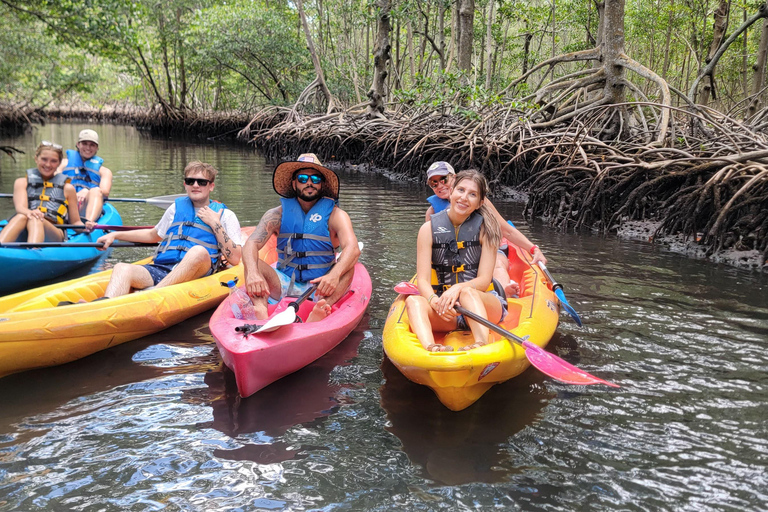 Miami: Biscayne Bay Ultimate Boat Tour with Kayak Experience