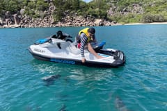 Snorkeling | Magnetic Island things to do in Castle Hill