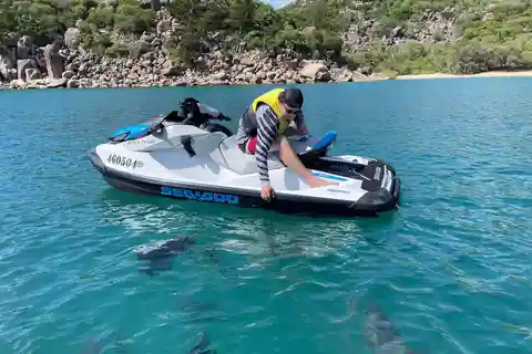 Townsville: Snorkling på Magnetic Island med jetski