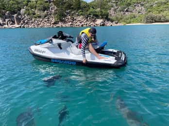 Townsville: snorkeling a Magnetic Island in moto d'acqua