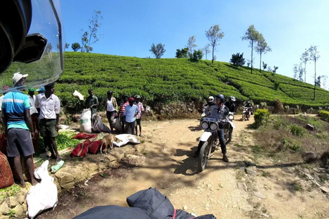 9 Day Sri Lanka Highlights Guided Motorcycle Tour