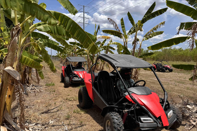 Bamboo Dune Buggy Tour