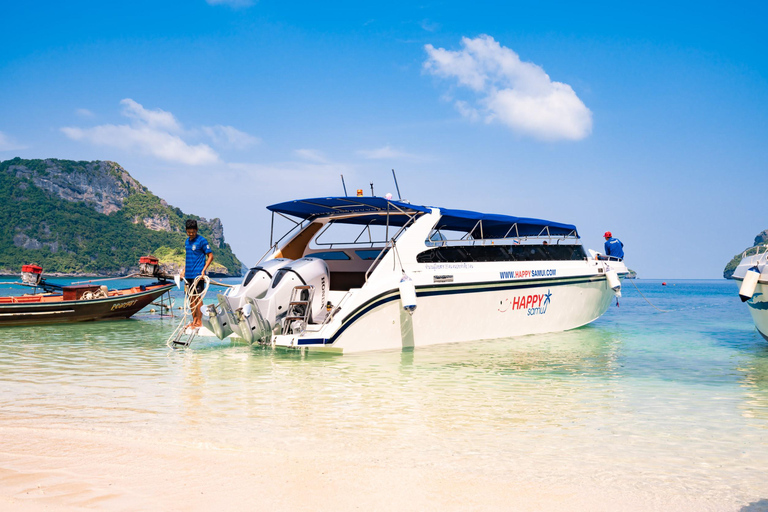 Koh Samui: Pig Island Tour by Speedboat with Snorkeling Private Tour or Cruise Ship Option