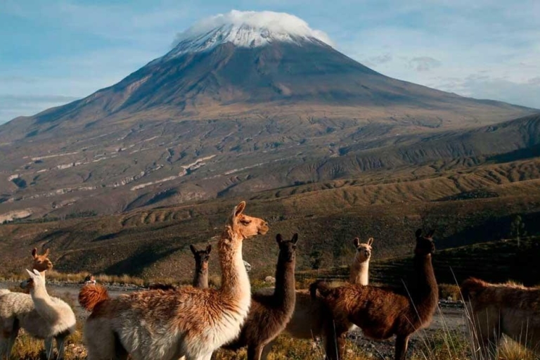 "Majestic Misti: A Thrilling 2-Day Arequipa Escape"