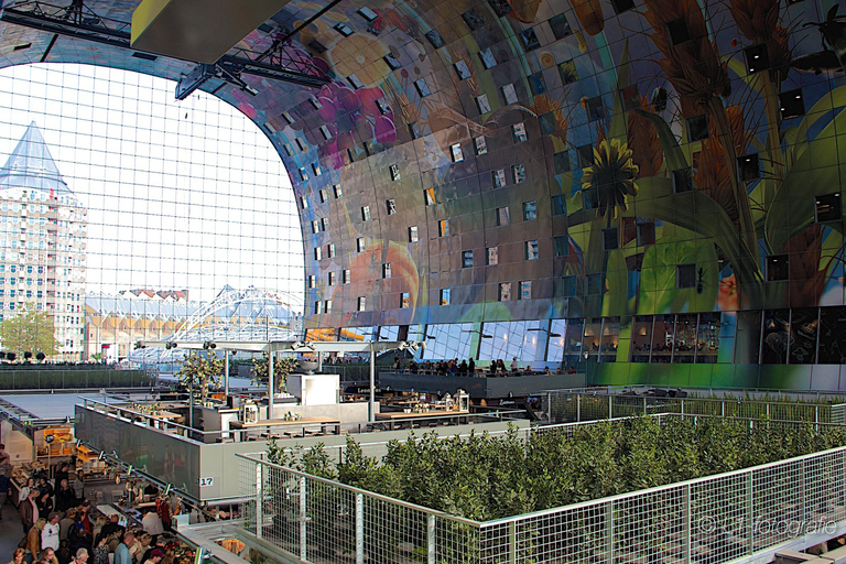 Rotterdam : Visite à pied du centre-ville