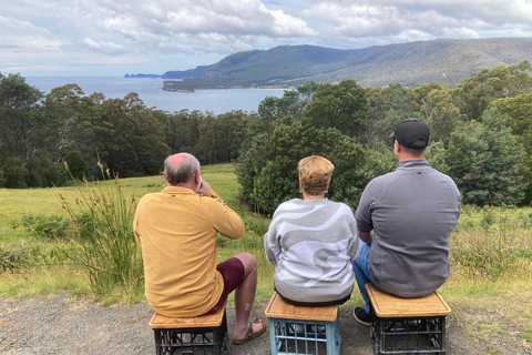 Private Tagestour – Tasman-Halbinsel