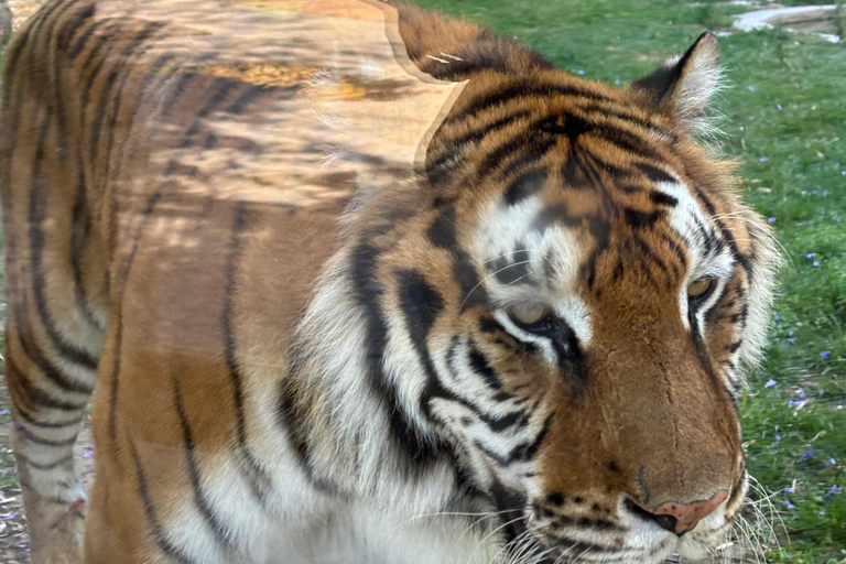 Cordoue : entrée au Centre de conservation Zoo CórdobaCordoue : Entrée au Centre de conservation du zoo de Cordoue